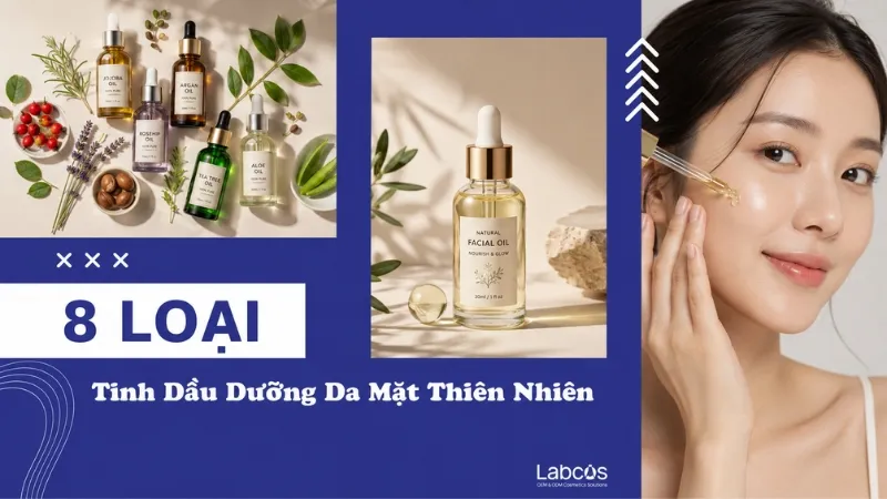 8 Loại Tinh Dầu Dưỡng Da Mặt Thiên Nhiên Hiệu Quả Nhất